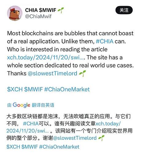 20241128224853